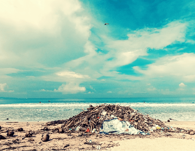 lixo-praias-algas-essencia-do-ambiente