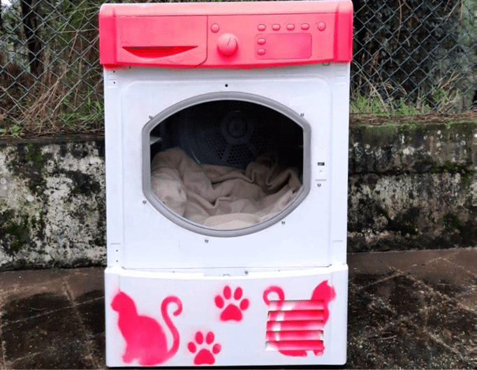 maquina-lavar-gatos-essencia-do-ambiente