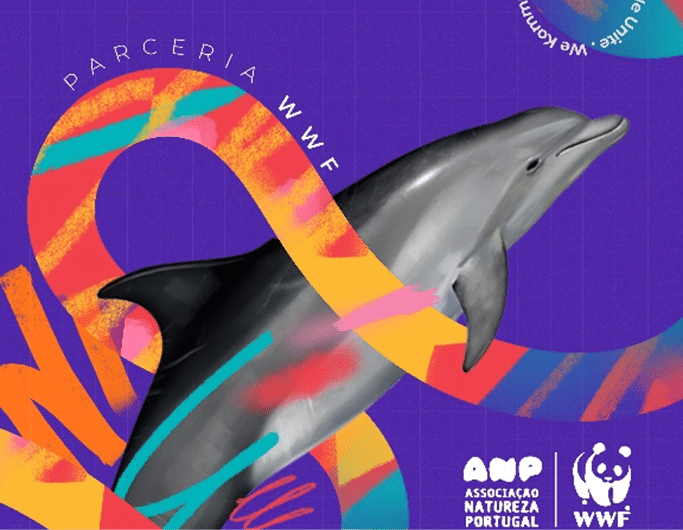 golfinhos-tejo-essencia-ambiente