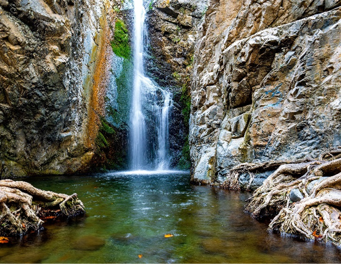 dia-mundial-agua-essencia-ambiente