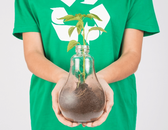 acerta-recicla-sociedade-ponto-verde-essencia-ambiente