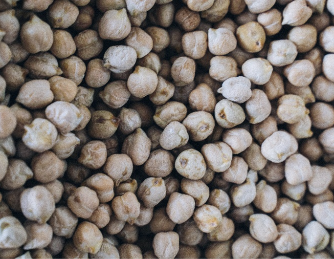 dia-leguminosas-essencia-ambiente