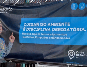 escola-electrao-essencia-ambiente