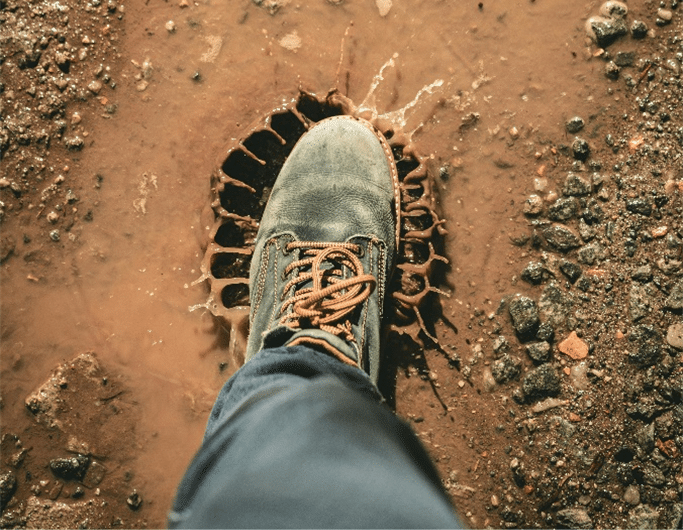 dia-internacional-lama-essencia-do-ambiente