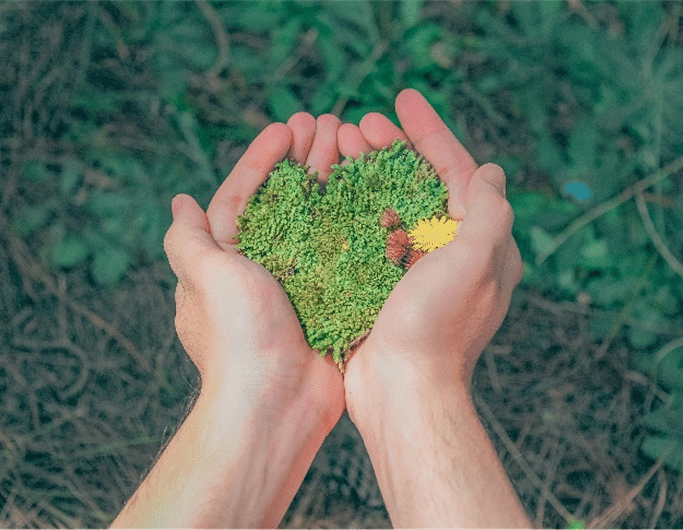 dia-mundial-ambiente-essencia-ambiente