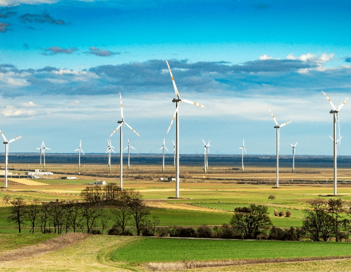 dia-mundial-vento-essencia-ambiente