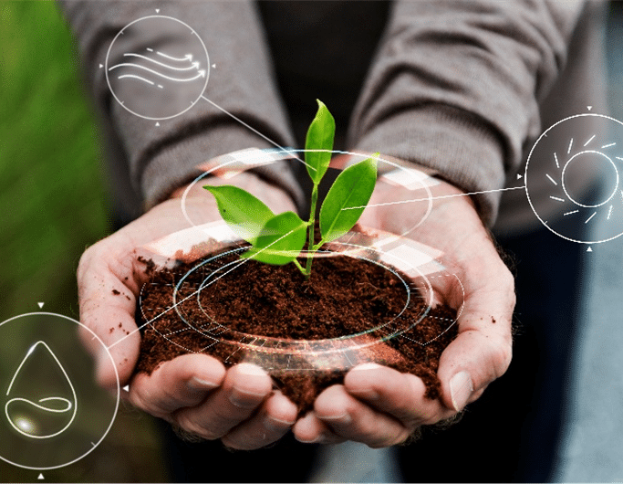 sibs-homebanking-essencia-ambiente