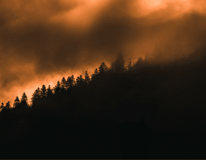 incendios-florestais-essencia-ambiente