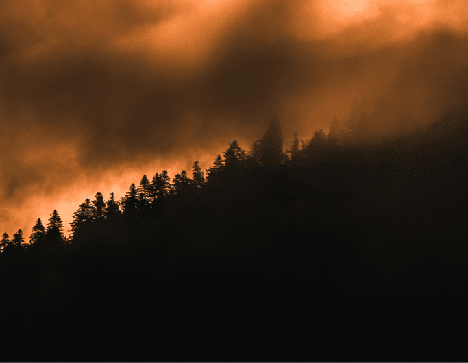 incendios-florestais-essencia-ambiente