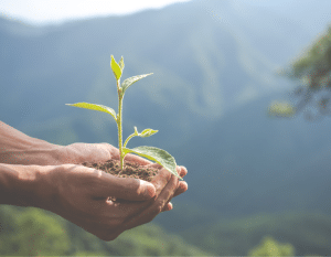 sustentabilidade-amazon-essencia-ambiente