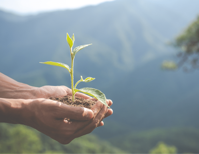 sustentabilidade-amazon-essencia-ambiente