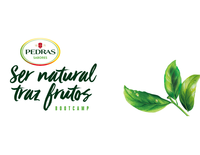 aguas-pedras-essencia-ambiente