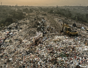 borba-residuos-essencia-ambiente