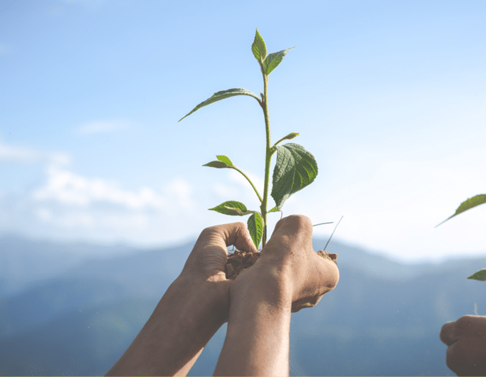 sustentabilidade-viver-melhor-ea