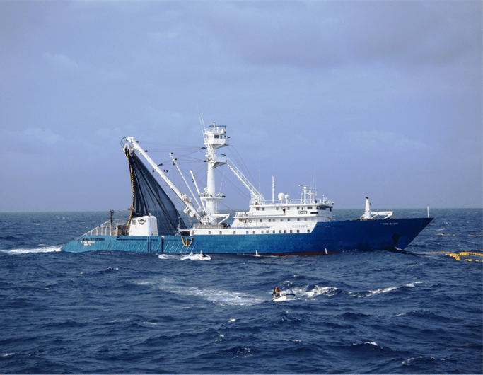 ia-protecao-oceanos-essencia-do-ambiente