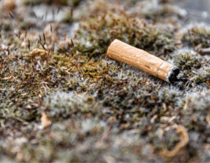 lei-das-beatas-autarquias-essencia-do-ambiente