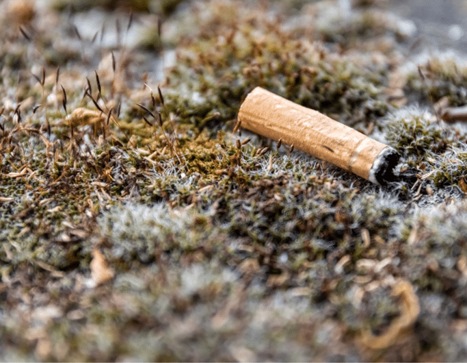 lei-das-beatas-autarquias-essencia-do-ambiente