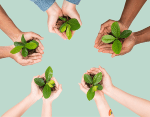 Programa Signify de eficiência energética e economia circular 2030