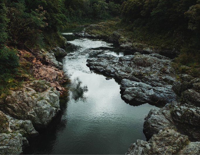 Investigação sobre a decomposição de matéria vegetal e a saúde dos rios