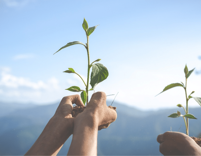 Investigação sobre mecanismos de proteínas em doenças como Alzheimer e Parkinson