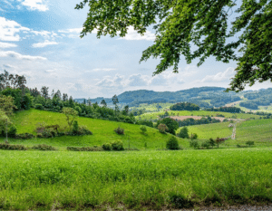 Paisagem natural em Portugal em processo de restauro ecológico e regeneração
