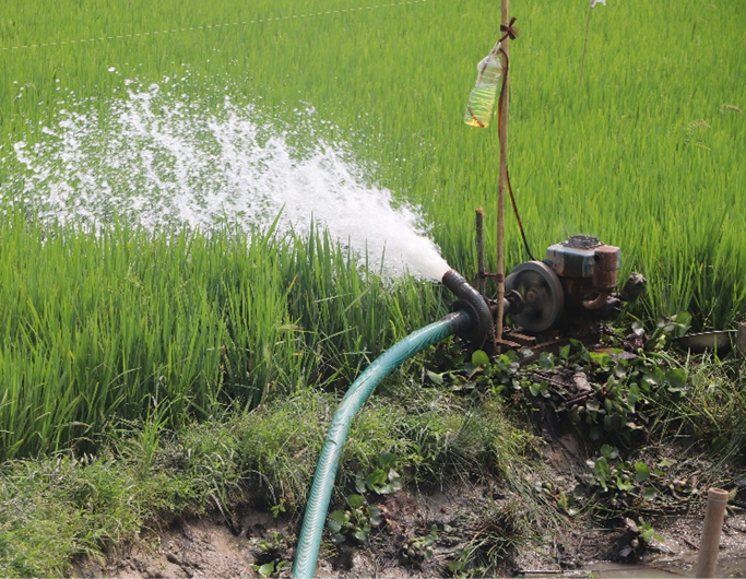 Sistema de irrigação agrícola utilizando a reutilização de água tratada em Castelo Branco